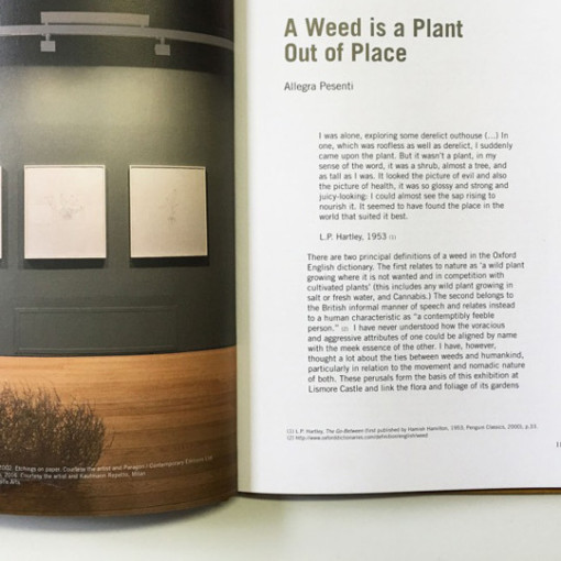A Weed is a Plant out of Place Catalogue 4