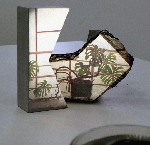 Askeaton Stuart Whipps