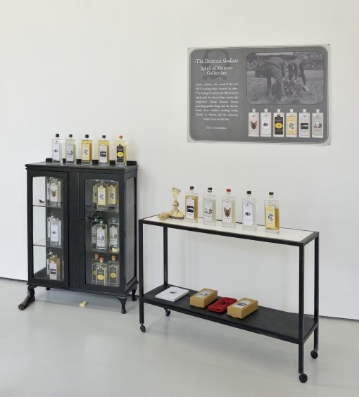 Askeatpn Domestic Godless