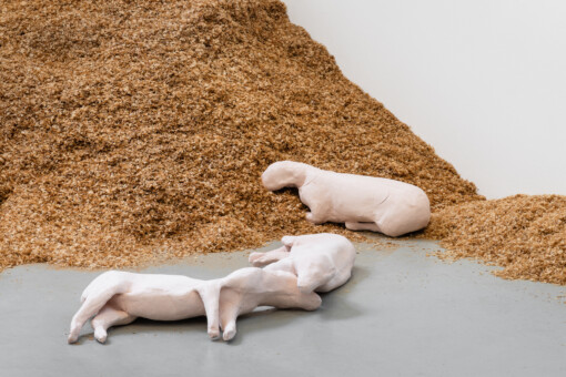 Jedniezgoda com LCA Caoimhe Kilfeather 04 High Res