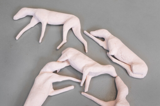 Jedniezgoda com LCA Caoimhe Kilfeather 07 High Res