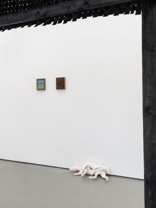 Jedniezgoda com LCA Caoimhe Kilfeather 08 High Res