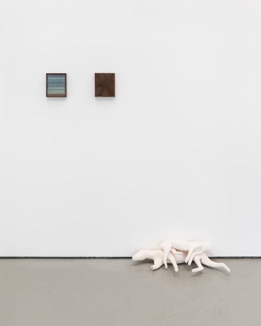 Jedniezgoda com LCA Caoimhe Kilfeather 13 High Res