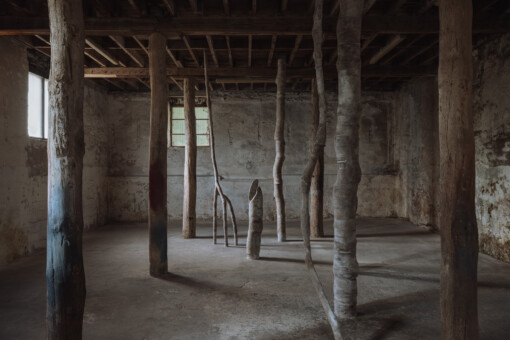 Jedniezgoda com LCA Carolina Aguirre 01 WEB