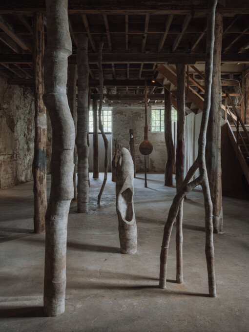 Jedniezgoda com LCA Carolina Aguirre 02 WEB