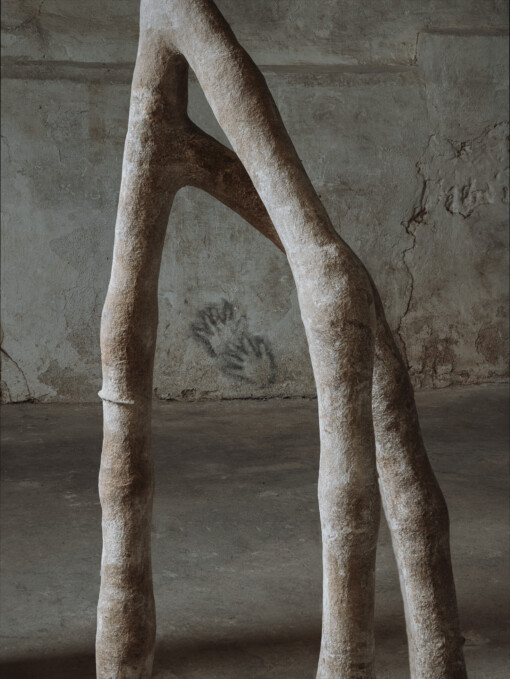 Jedniezgoda com LCA Carolina Aguirre 04 WEB