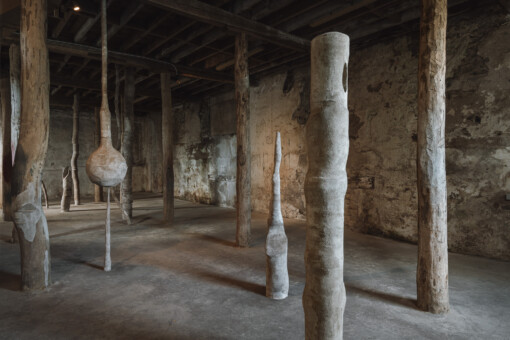 Jedniezgoda com LCA Carolina Aguirre 05 WEB