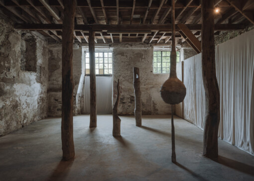 Jedniezgoda com LCA Carolina Aguirre 07 WEB