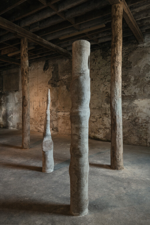 Jedniezgoda com LCA Carolina Aguirre 08 WEB