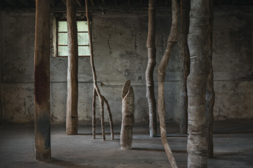 Jedniezgoda com LCA Carolina Aguirre 11 WEB