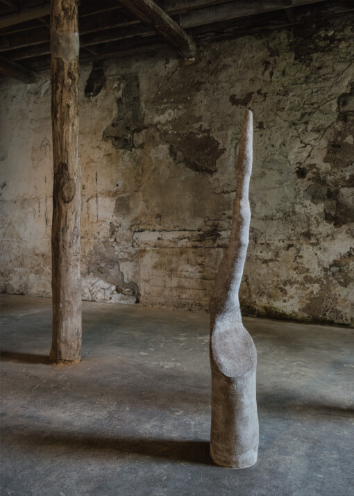 Jedniezgoda com LCA Carolina Aguirre 12 WEB