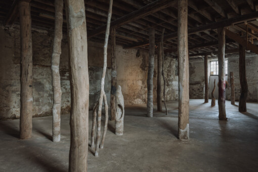 Jedniezgoda com LCA Carolina Aguirre 13 WEB