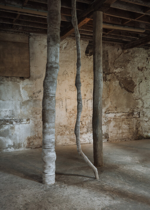 Jedniezgoda com LCA Carolina Aguirre 14 WEB