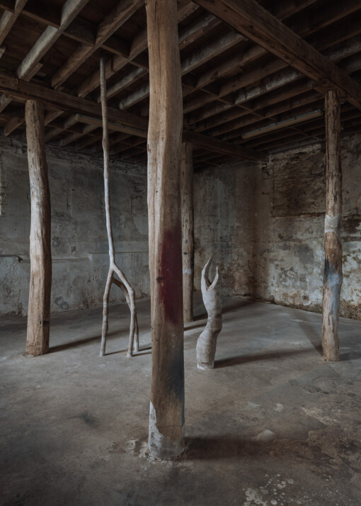 Jedniezgoda com LCA Carolina Aguirre 15 WEB