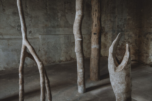 Jedniezgoda com LCA Carolina Aguirre 16 WEB