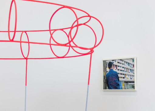 Jedniezgoda com LCA Contradictory Senses 07 WEB