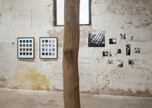 Jedniezgoda com LCA Origins 2022 03 WEB