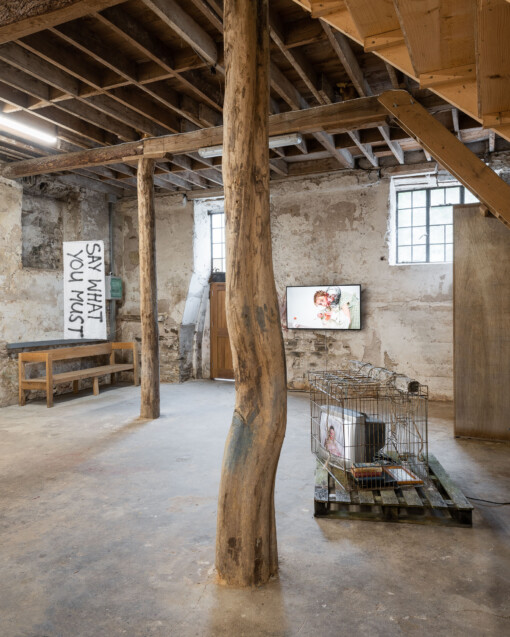 Jedniezgoda com LCA Origins 2022 08 WEB