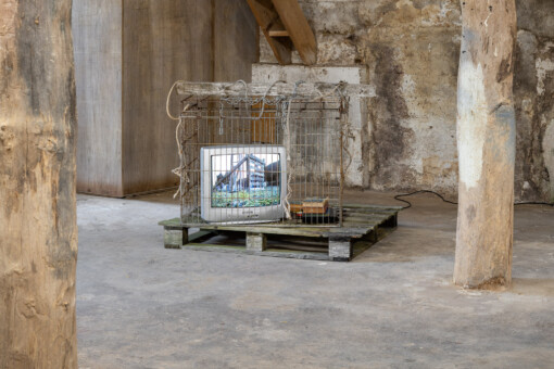 Jedniezgoda com LCA Origins 2022 10 WEB