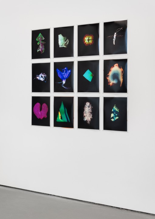 Jedniezgoda com LCA Simone Mudde 07 WEB