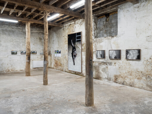 Jedniezgoda com LCA This Rural 01 WEB