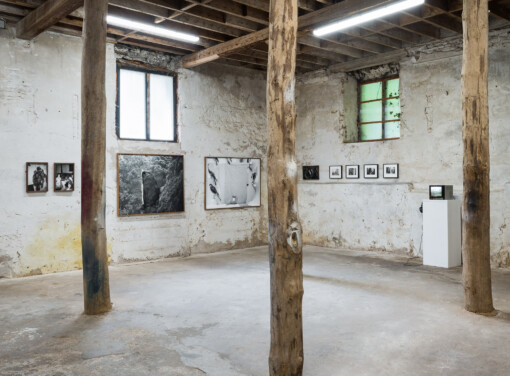 Jedniezgoda com LCA This Rural 02 WEB