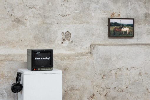 Jedniezgoda com LCA This Rural 03 WEB