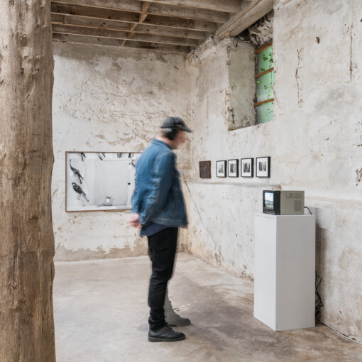 Jedniezgoda com LCA This Rural 05 WEB