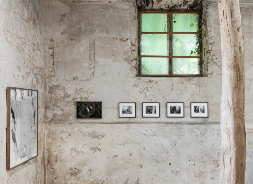 Jedniezgoda com LCA This Rural 07 WEB