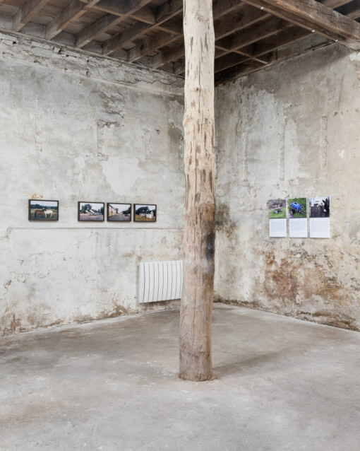 Jedniezgoda com LCA This Rural 08 WEB