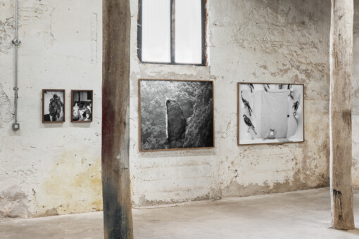 Jedniezgoda com LCA This Rural 09 WEB