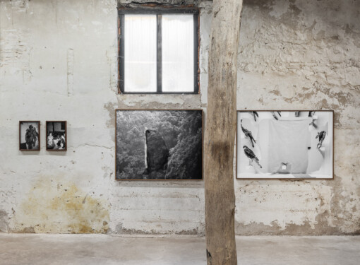 Jedniezgoda com LCA This Rural 12 WEB