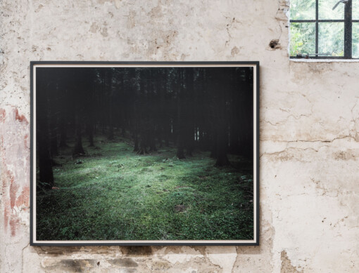 Jedniezgoda com LCA This Rural 14 WEB