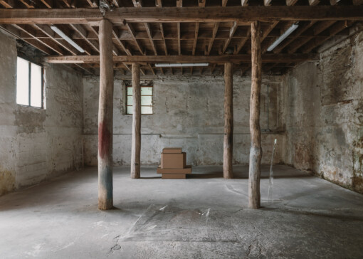 Jedniezgoda com LCA Vertices 02 WEB