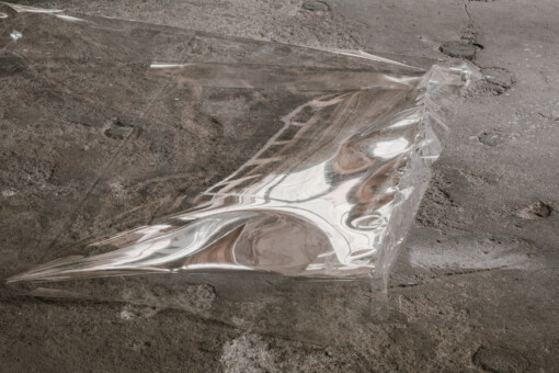 Jedniezgoda com LCA Vertices 14 WEB