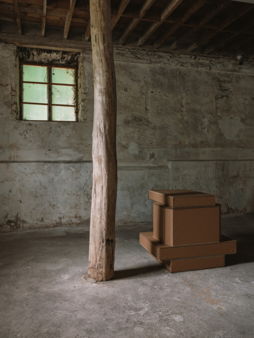 Jedniezgoda com LCA Vertices 15 WEB