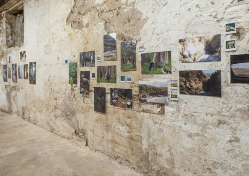 Origins 2023 install view 8