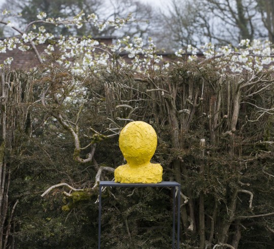 CMK15042018 Lismore Opening 053