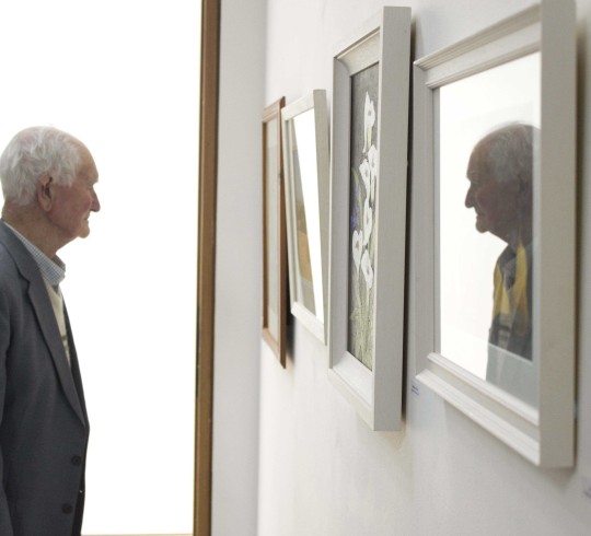 Lismore Castle Exhibition 2015 27