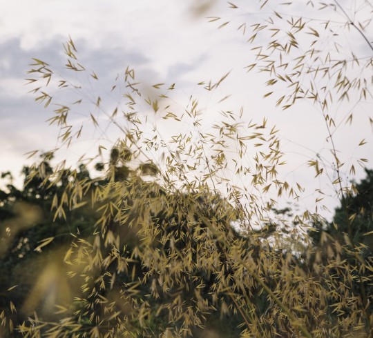 Lismore Castle Exterior