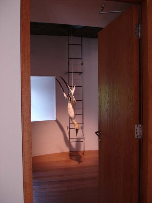 Individual Fields 2005 4