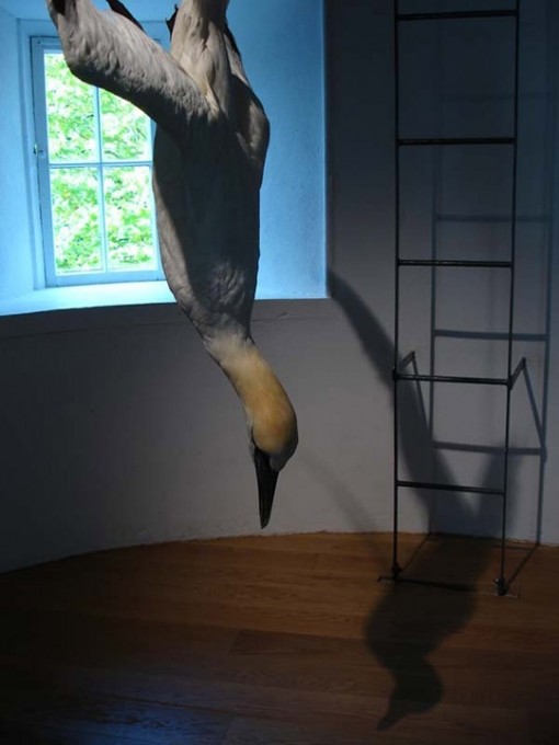 Individual Fields 2005 5