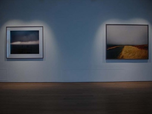 Individual Fields 2005 6